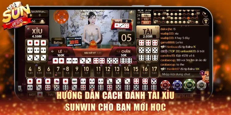 Hướng dẫn cách đánh Tài Xỉu SunWin cho bạn mới học